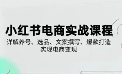 小红书从0-1实操课(2023-2025),详解养号、选品、文案撰写、爆款打造实现电商变现--优久轻创
