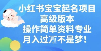 小红书宝宝起名项目高级版本,操作简单,资料专业,月入过W--优久轻创