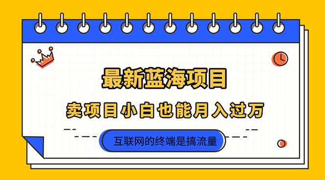 (14289期)2025年最新蓝海项目,卖项目小白也能月入过万--优久轻创