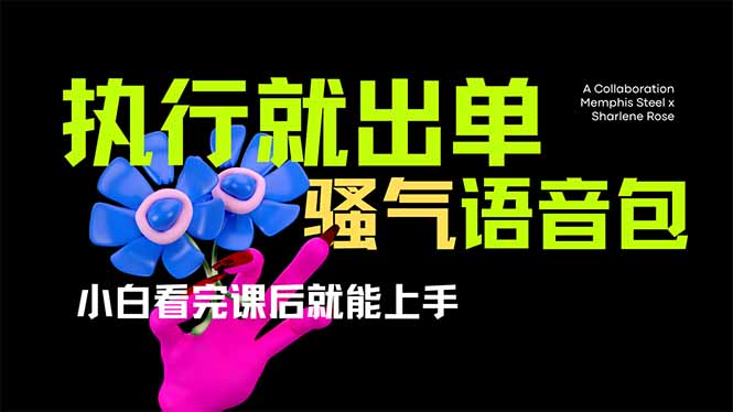 (14170期)爆火全网的开车导航骚气语音包,只要执行就出单,小白看完课程就能实操...--优久轻创