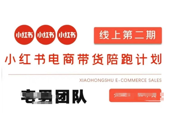 小红书电商带货课2期,月利润20个的小红书电商的有货源,无货源,虚拟产品,付费投流等整套玩法--优久轻创